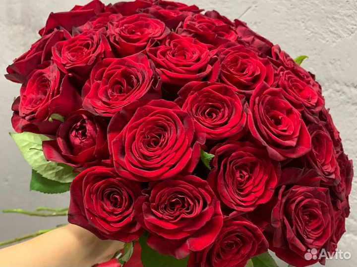 21 Роза Цветы Букеты 15 25 35 45 Розы Доставка