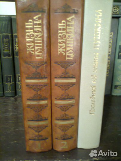 Трилогия Жизнь Пушкина, Пушкин в 3 т., Лермон.энц