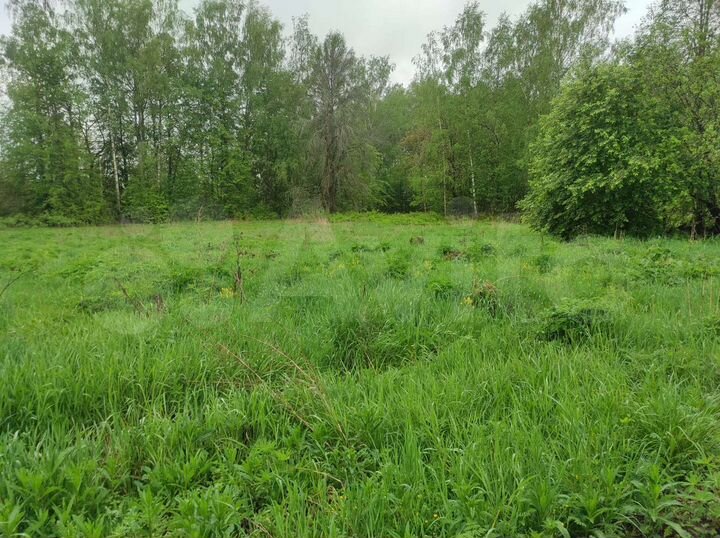 Участок 16,5 сот. (ИЖС)