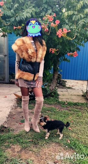 Одежда для девушек. весна осень зима