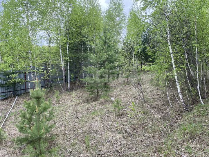 Участок 8,7 сот. (СНТ, ДНП)