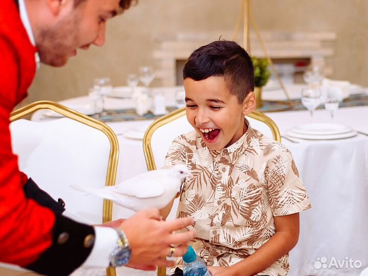 Фокусник и 5 зверюшек Программа Magic Story