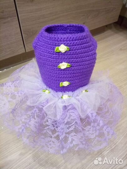 Платье на той-терьера