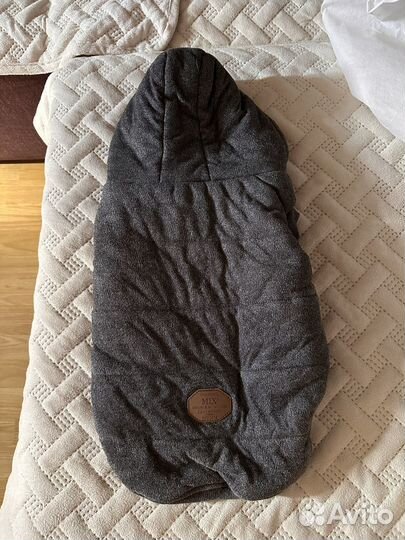 Одежда для собак