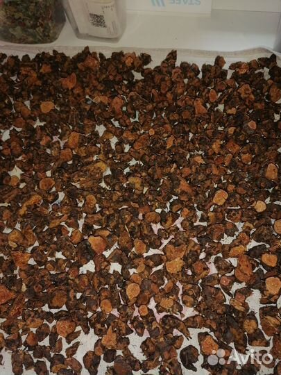 Корень калгана