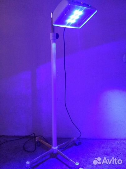 Прокат лампы для лечения желтушки новорождённых