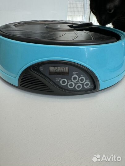 Автоматическая кормушка для кошек и собак