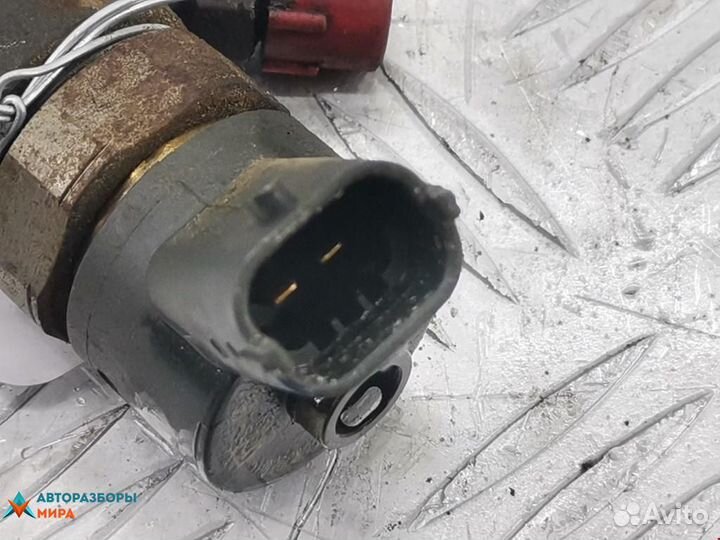 Форсунка Renault Megane 2 2005 8200606383