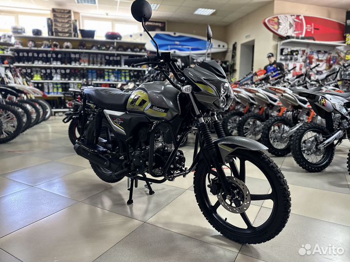 Rato Alcor 50 (125)