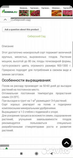 Рассада томатов