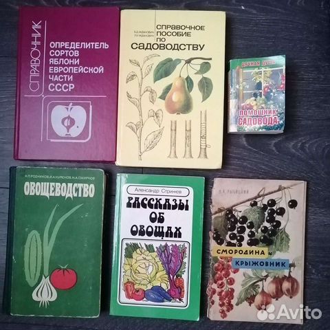 Обустройство дачи, дома, огорода, сада