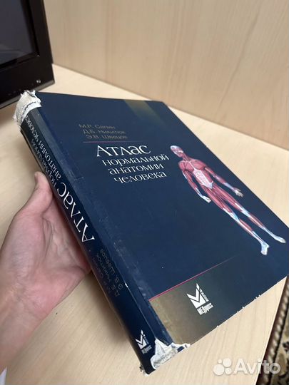 Анатомия сапин