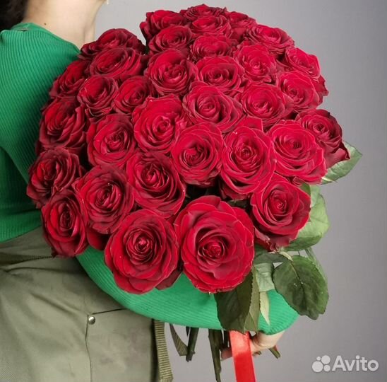 Роза Голландия 33 штуки