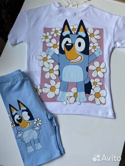 Комплект Блуи