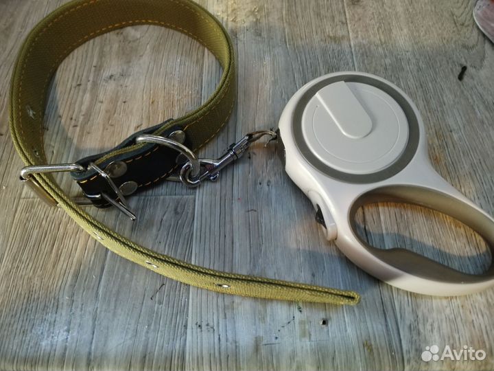 Ошейник и поводок для собаки