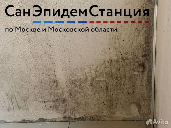 Удаление грибка и плесени, плесневых спор