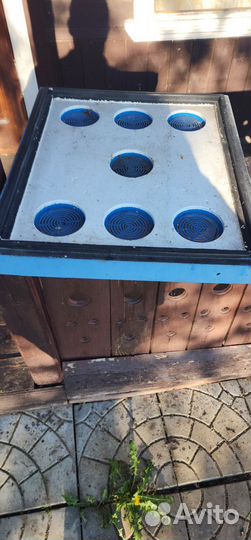 Улей лысонь