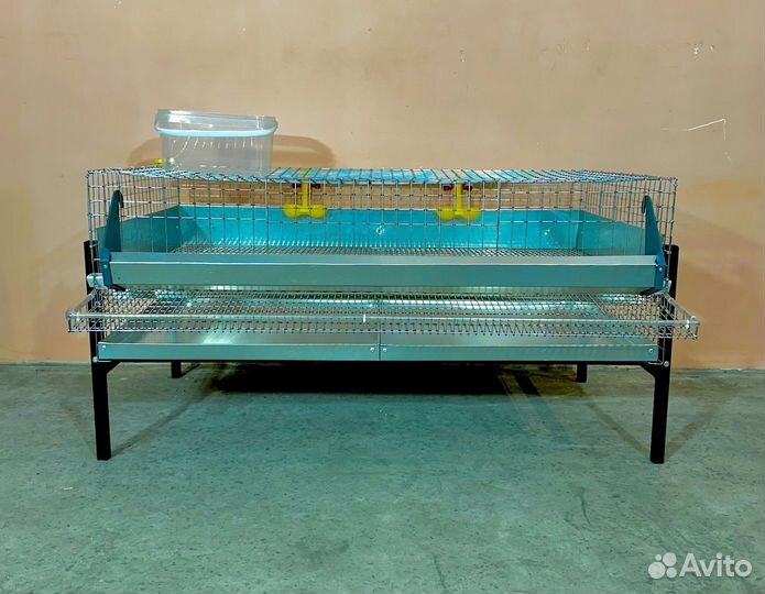 Клетка для перепелов