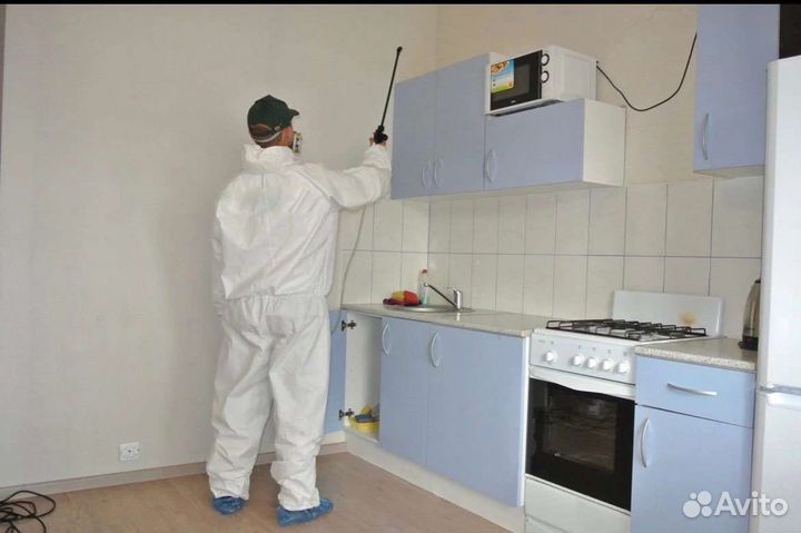 Дезинфекция