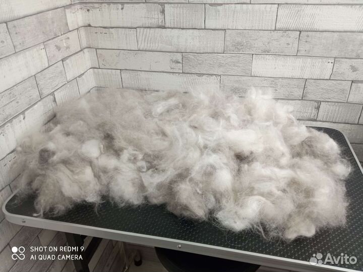 Собачья шерсть пух