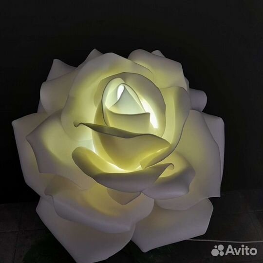 Цветы розы с доставкой