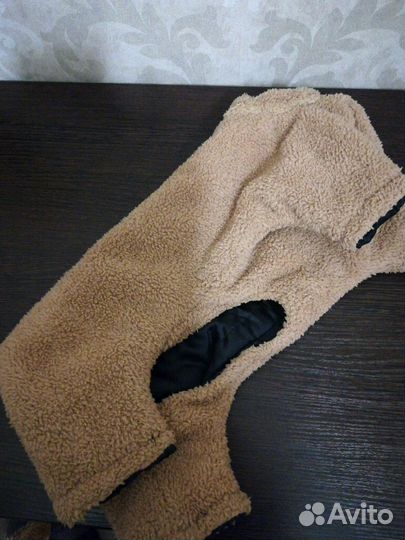 Одежда для йоркширского терьера