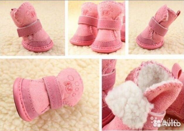 Ботинки для собак