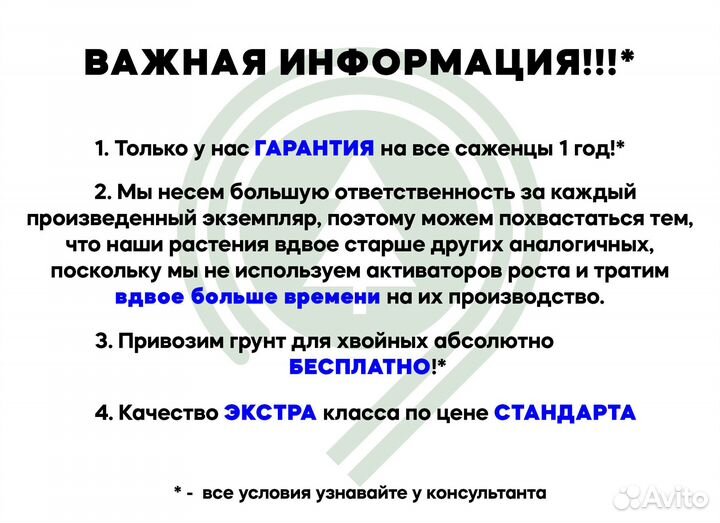 Туя. Питомник. Опт и розница