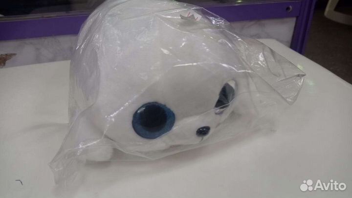 Нерпа с большими глазами