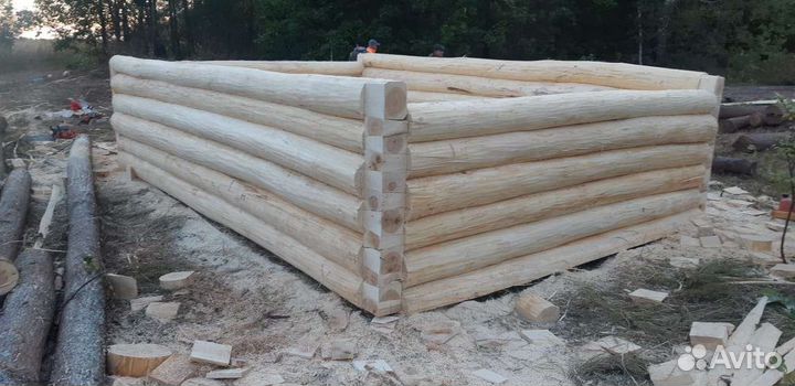 Сруб бани из липы