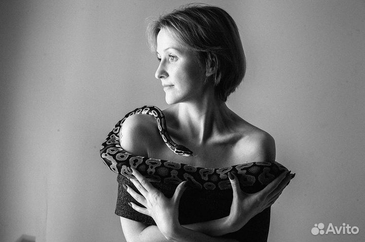 Живые змеи для фотосессии