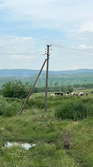 Участок 10 га (СНТ, ДНП)