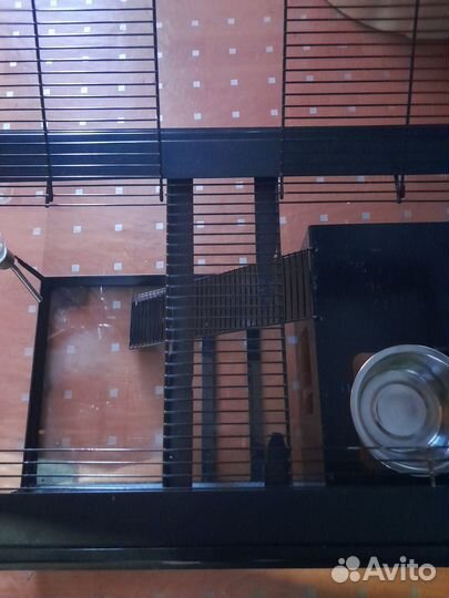 Аквариум террариум