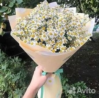 Доставка цветов. Ромашки