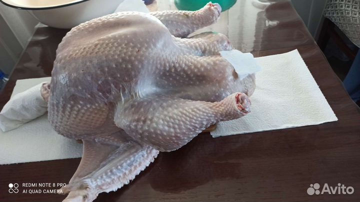 Мясо домашней индейки