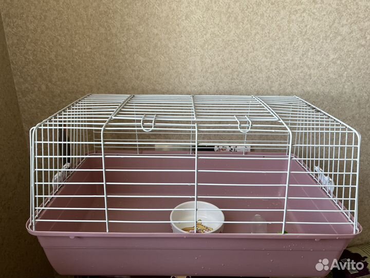 Клетка для морской свинки