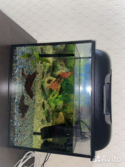 Аквариум для рыб 35 литров