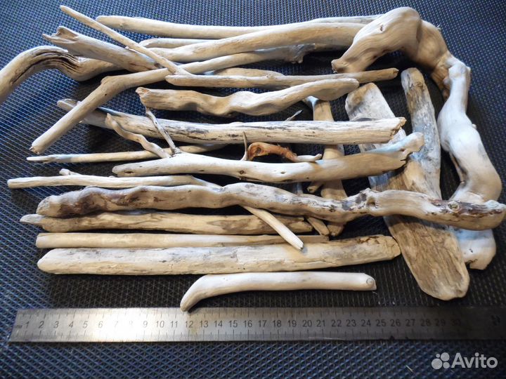 Коряги дрифтвуд