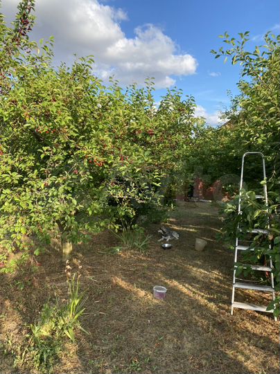 Дом 264 м² на участке 20 сот.