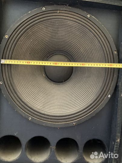 Бин нч клонки