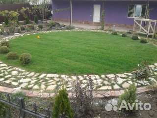 Рулонный газон