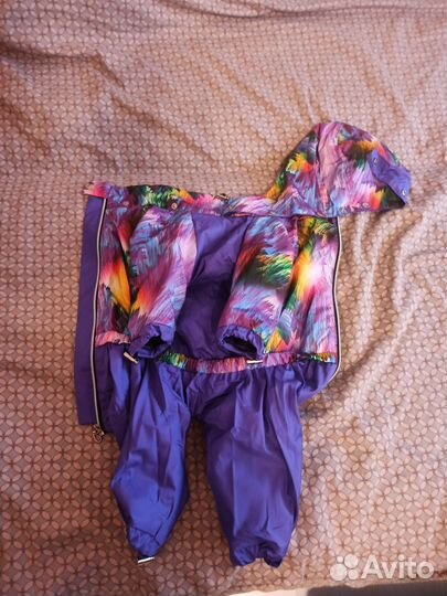 Комбез на собаку девочку мелких и средних пород