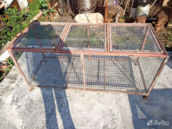 Клетка для цыплят