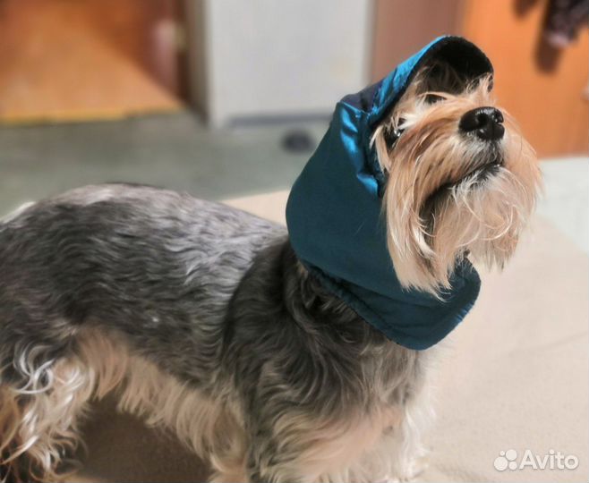 Шапка для маленькой собаки