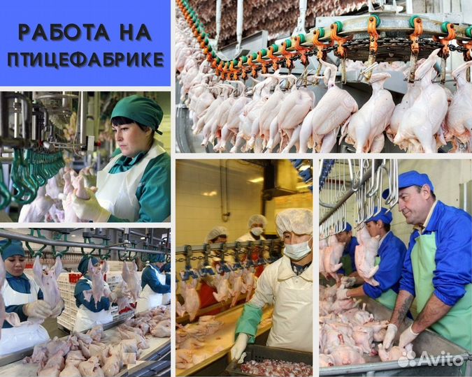 Работа.Вахта Разнорабочие. Ростовская область