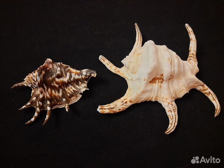 Украшение для кухни