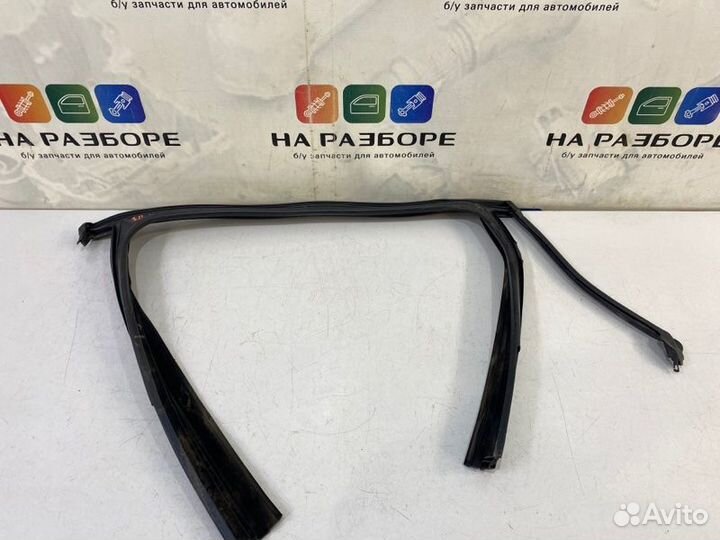 Уплотнительная резинка стекла двери задняя правая