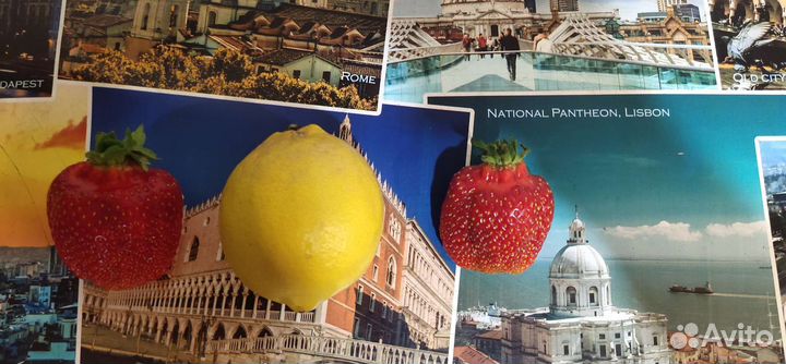 Клубника саженцы Азия, Улыбка, Альба,Мурано,Гирлян