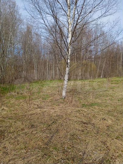 Участок 2 га (СНТ, ДНП)