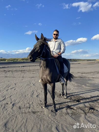 Конные прогулки